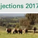 2017 Cattle Industry Projections