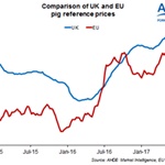 EU Pig Reference Price Falls
