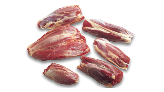 Shin Shank--Taiwan Spec