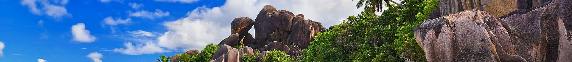 Shenzhen Chafederal Import & Export Co., Ltd.